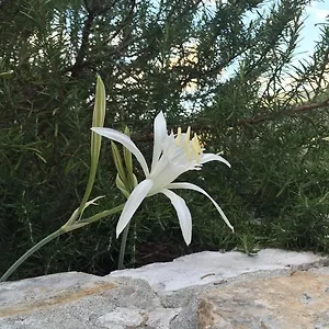  Gasthof Ca' Di Bianca